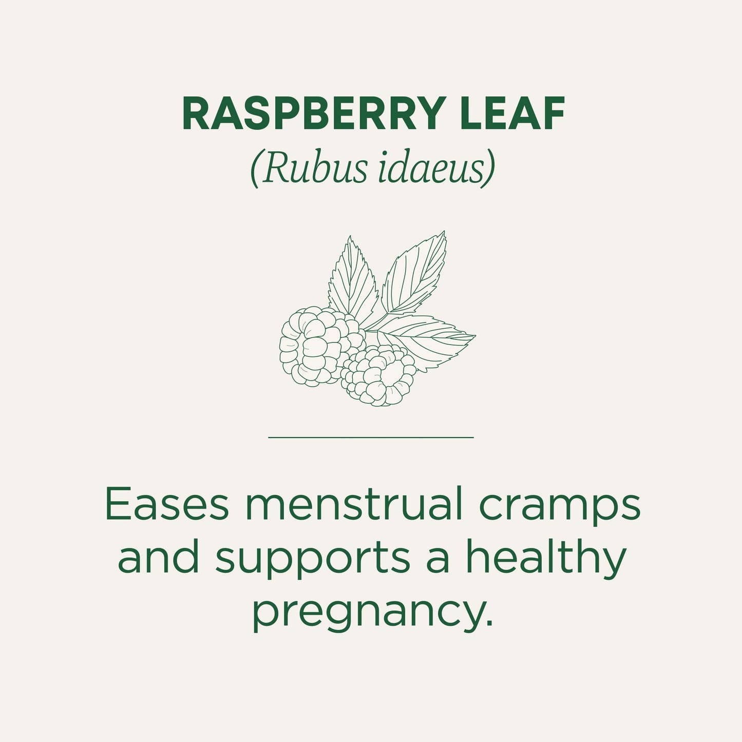 Traditional Medicinals Tea, Organic Healthy Cycle, Supports Healthy Menstrual Cycles, Includes Spearmint,16 Tea Bags - Nirvana Guru