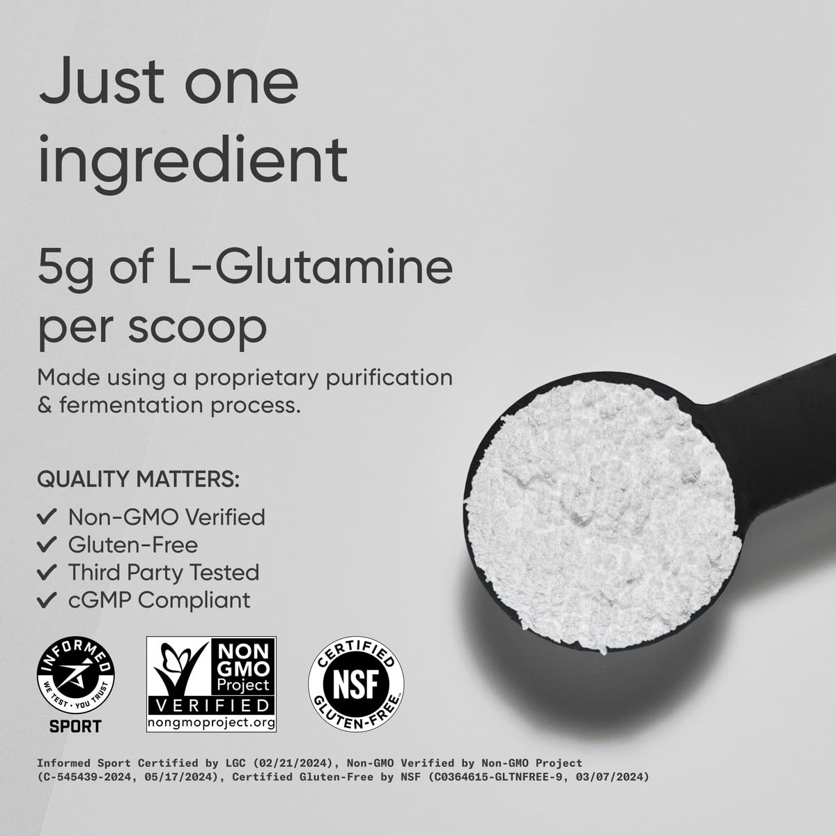 Sports Research L-Glutamine - Workout Recovery, Immune Health & Gut Health Support - 5 G Per Serving - 17.64 Oz - Nirvana Guru