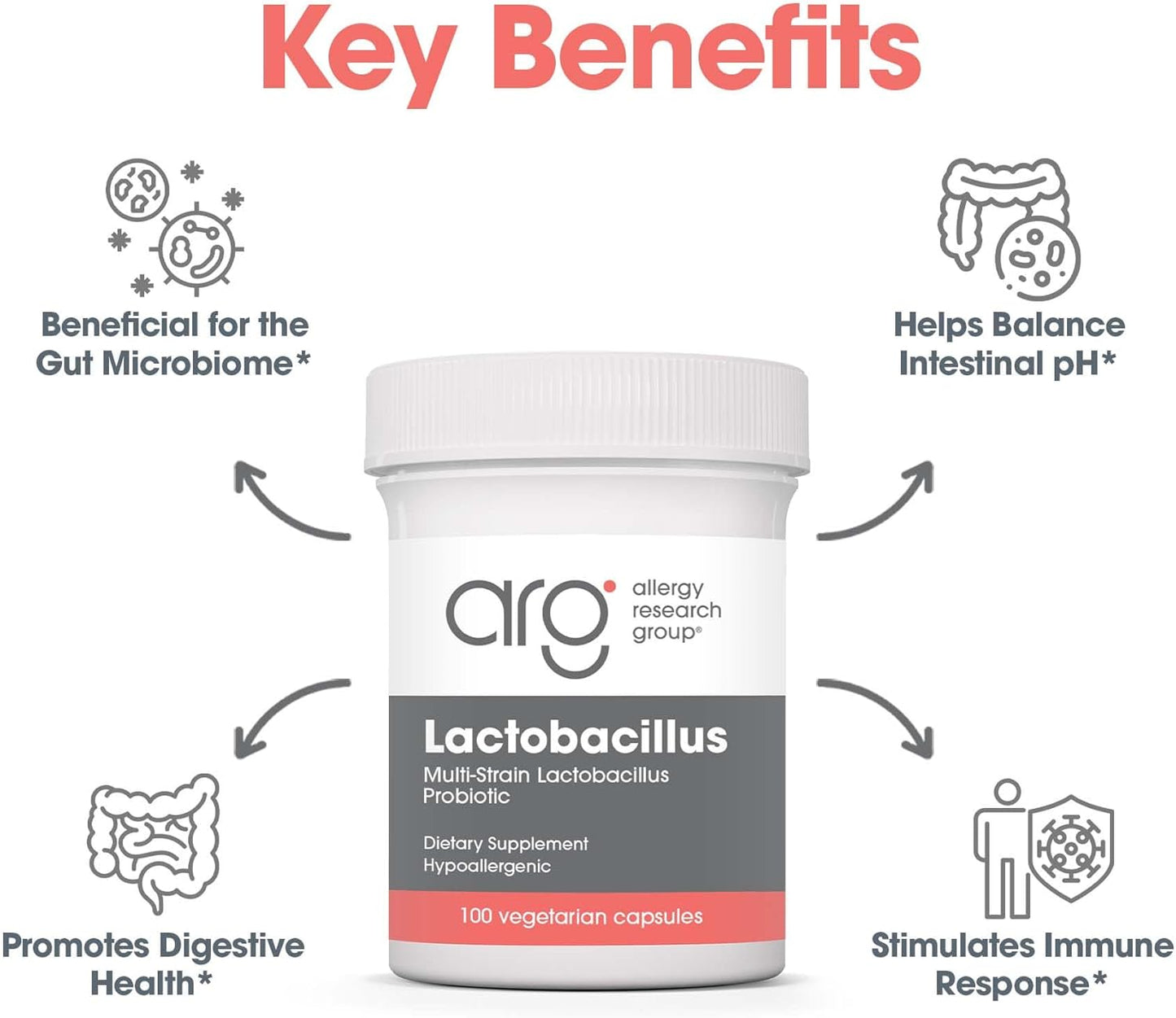 Allergy Research Group Lactobacillus Supplement - Probiotics for Men & Women, Digestive Health, Gut Health, Vegetarian Capsules - 100 Count Nirvana Guru