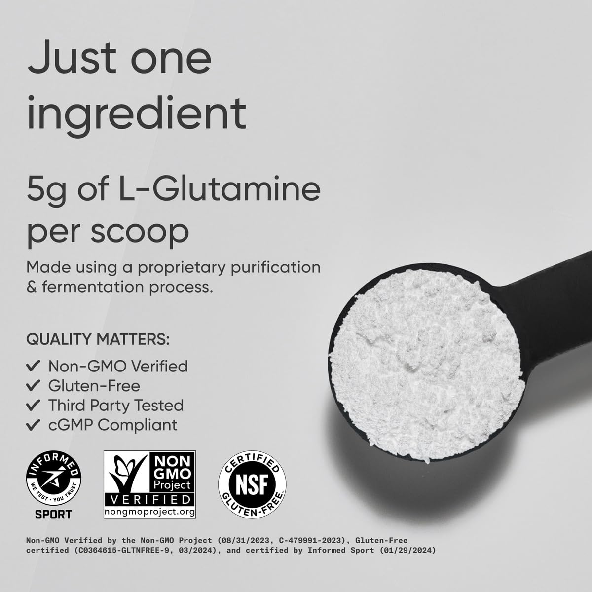 Sports Research L-Glutamine - Workout Recovery, Immune Health & Gut Health Support - 5 G Per Serving - 17.64 Oz - Nirvana Guru