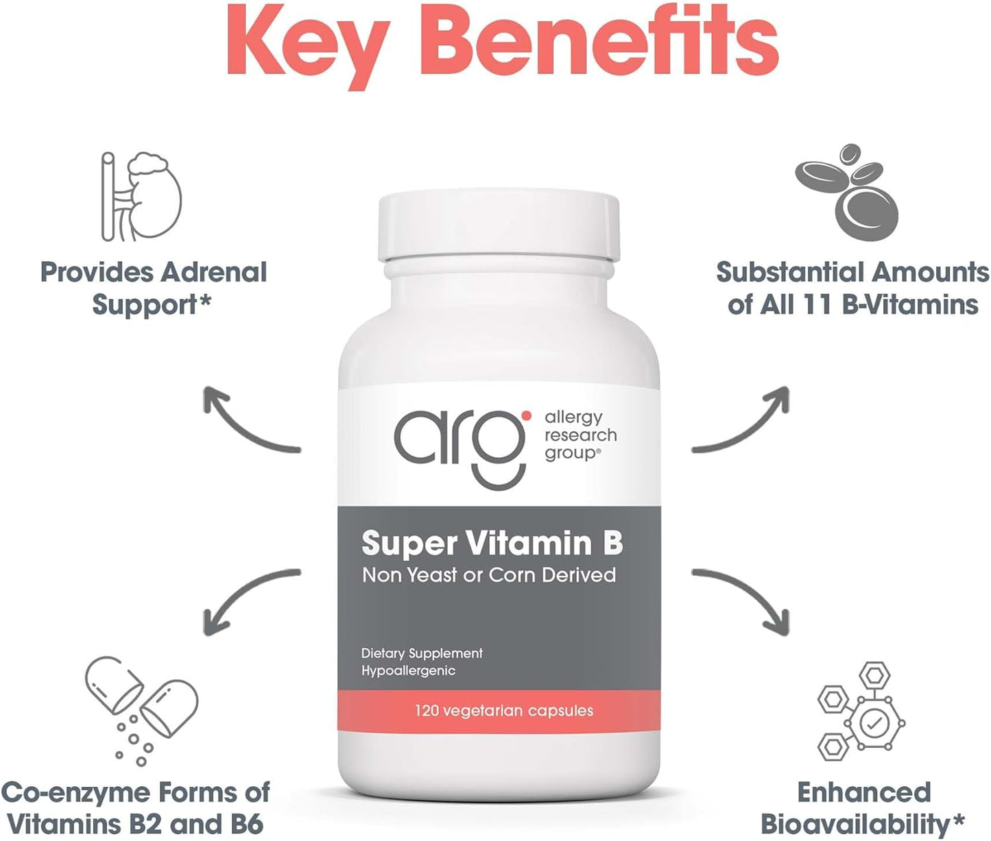 Allergy Research Group Super Vitamin B Supplement - B Vitamin Complex for Men & Women, with Vitamin B12 and B6, Vegetarian Capsules - 120 Count Nirvana Guru