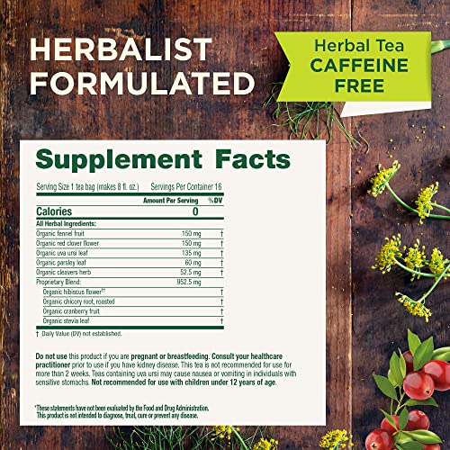 Traditional Medicinals Tea, Organic Roasted Dandelion Root, Supports Kidney Function & Healthy Digestion, 96 Tea Bags (6 Pack) - Nirvana Guru