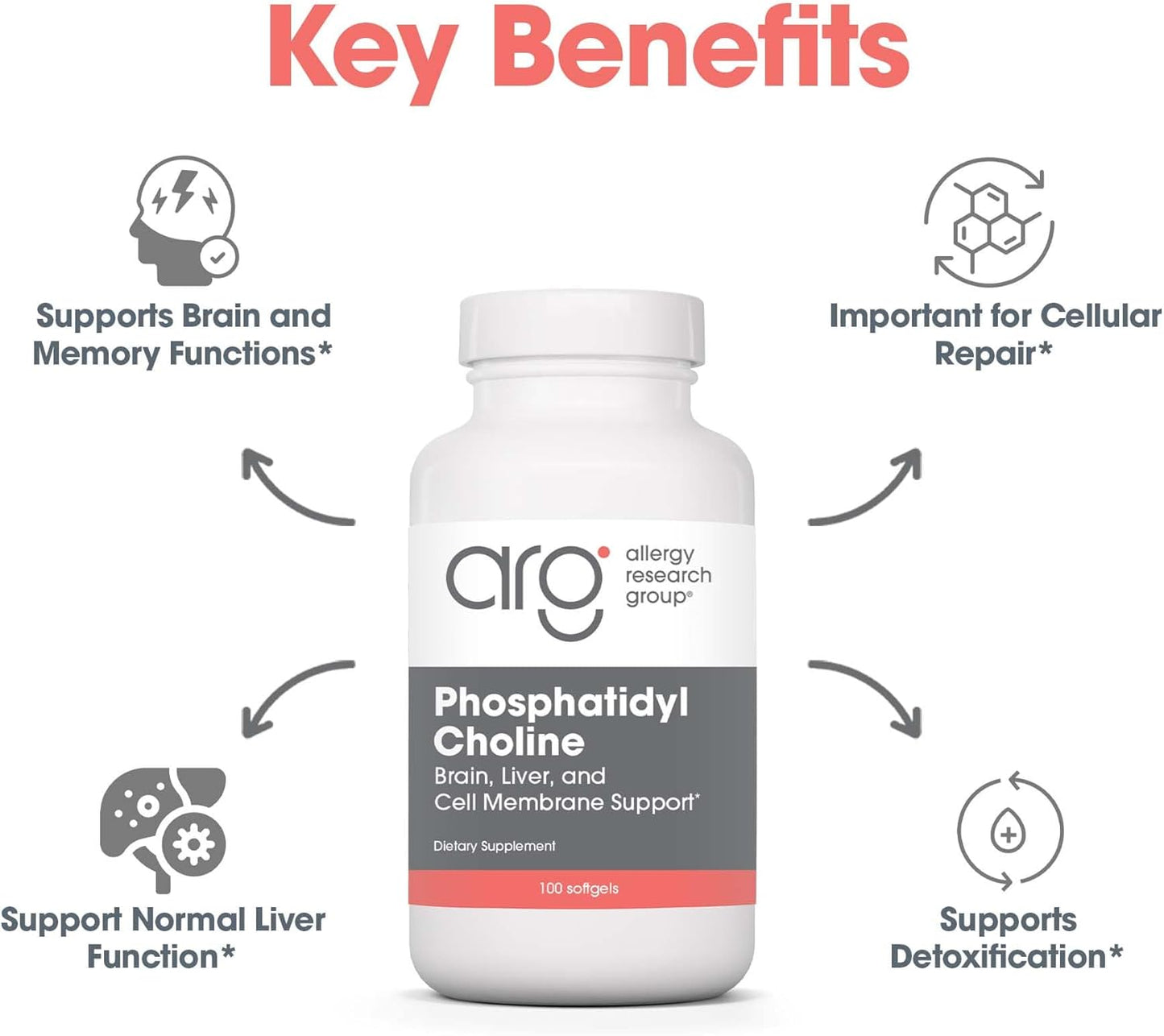 Allergy Research Group Phosphatidyl Choline Supplement - Lecithin Capsules, Digestive Enzymes for Liver, Fat Digestion Support, Choline Supplements for Fatty Liver, 1540mg Softgels - 100 Count Nirvana Guru