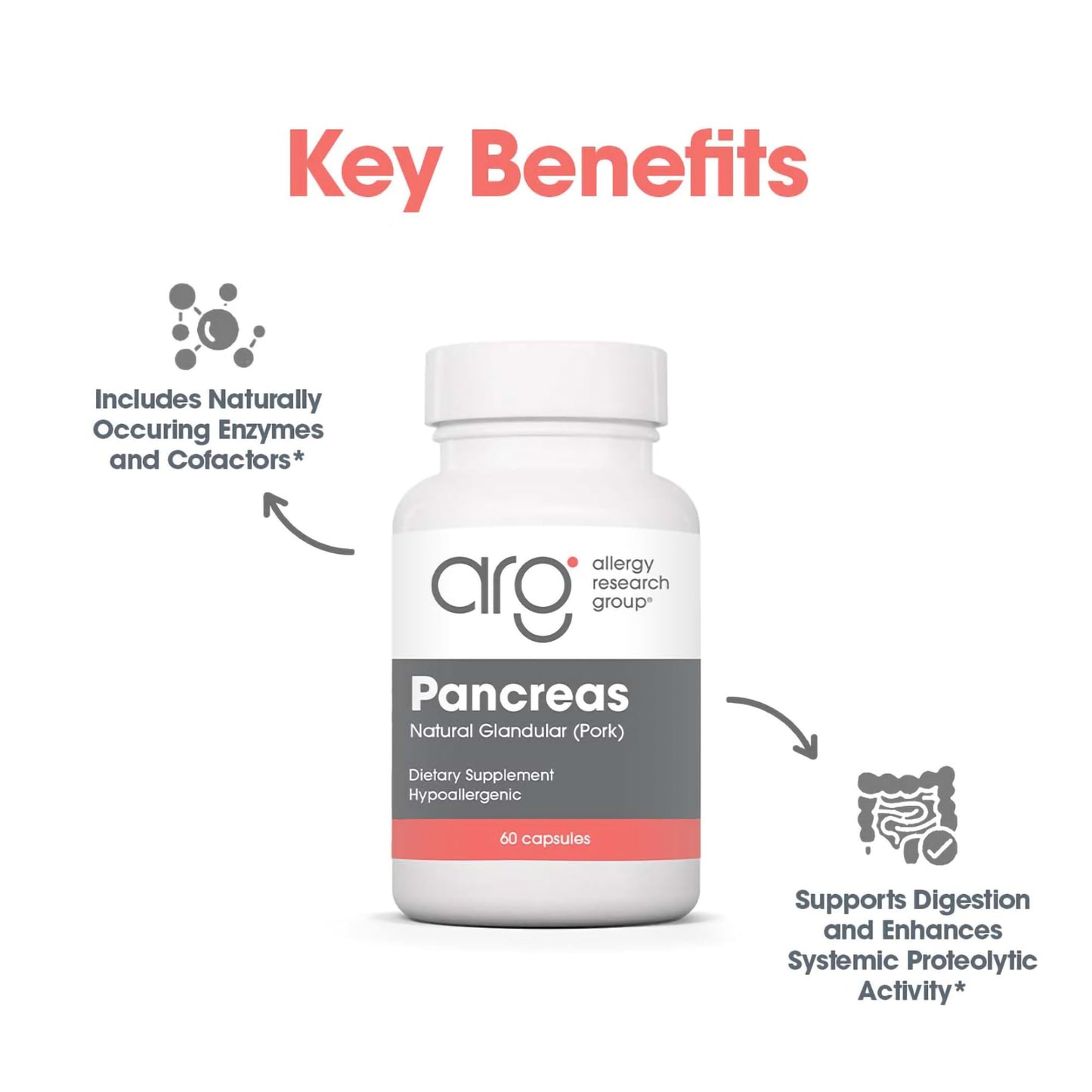 Allergy Research Group Pancreas Supplement - Pancreatic Enzymes for Women and Men, Digestive Pork Pancreas Powder Capsules, Healthy Digestion Support - 720 Capsules Nirvana Guru