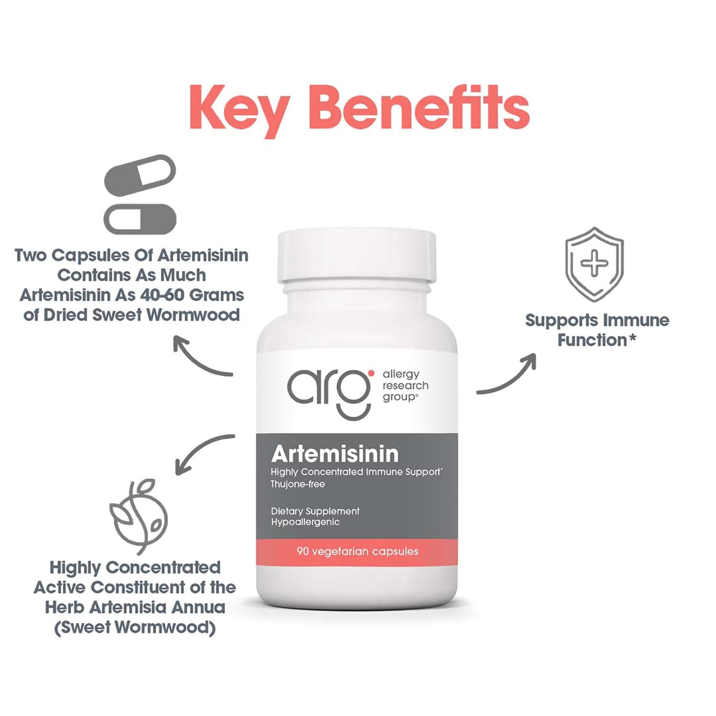 Allergy Research Group Artemisinin Supplement - Pure Sweet Wormwood Extract Artemisinin Capsules for Adults, Natural Immune Support with 200 mg, Digestive Health Support - 90 Vegetarian Capsules Nirvana Guru