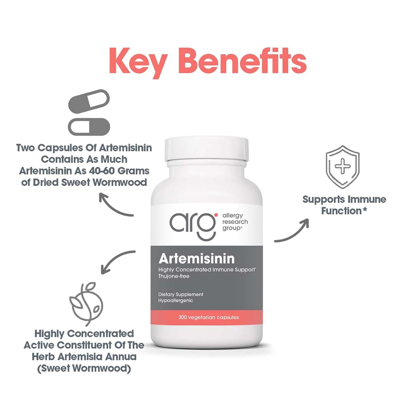 Allergy Research Group Artemisinin Supplement - Pure Sweet Wormwood Extract Artemisinin Capsules for Adults, Natural Immune Support with 200 mg, Digestive Health Support - 90 Vegetarian Capsules Nirvana Guru