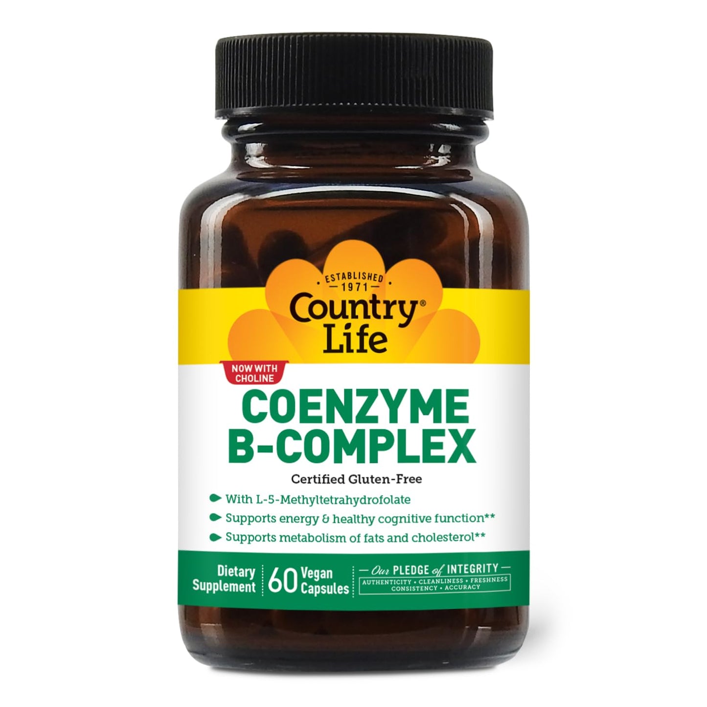 Country Life Coenzyme B-Complex, 120 Capsules – Supports Energy & Metabolism, Mood & Cognitive Function – Vegan, Gluten-Free, Bioavailable B Vitamins with Choline Nirvana Guru