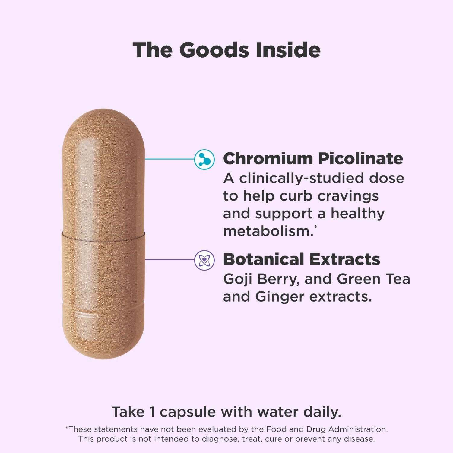 OLLY Combat Cravings, Metabolism & Energy Support Supplement,1000 mcg Chromium, Green Tea, Goji Berry, Ginger - 30 Count Nirvana Guru