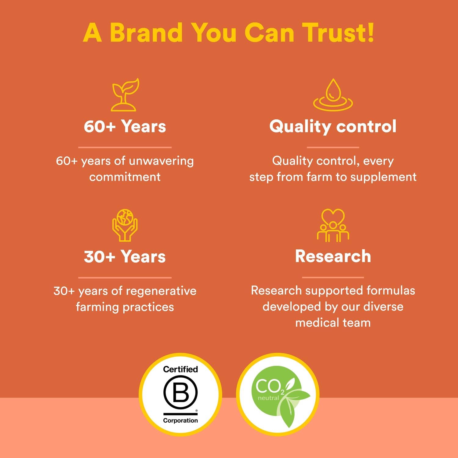 Natural Factors, Kids Chewable Vitamin C 500 mg, Supports Immune Health, Bones, Teeth and Gums, Tangy Orange, 180 Count (Pack of 1) - Nirvana Guru