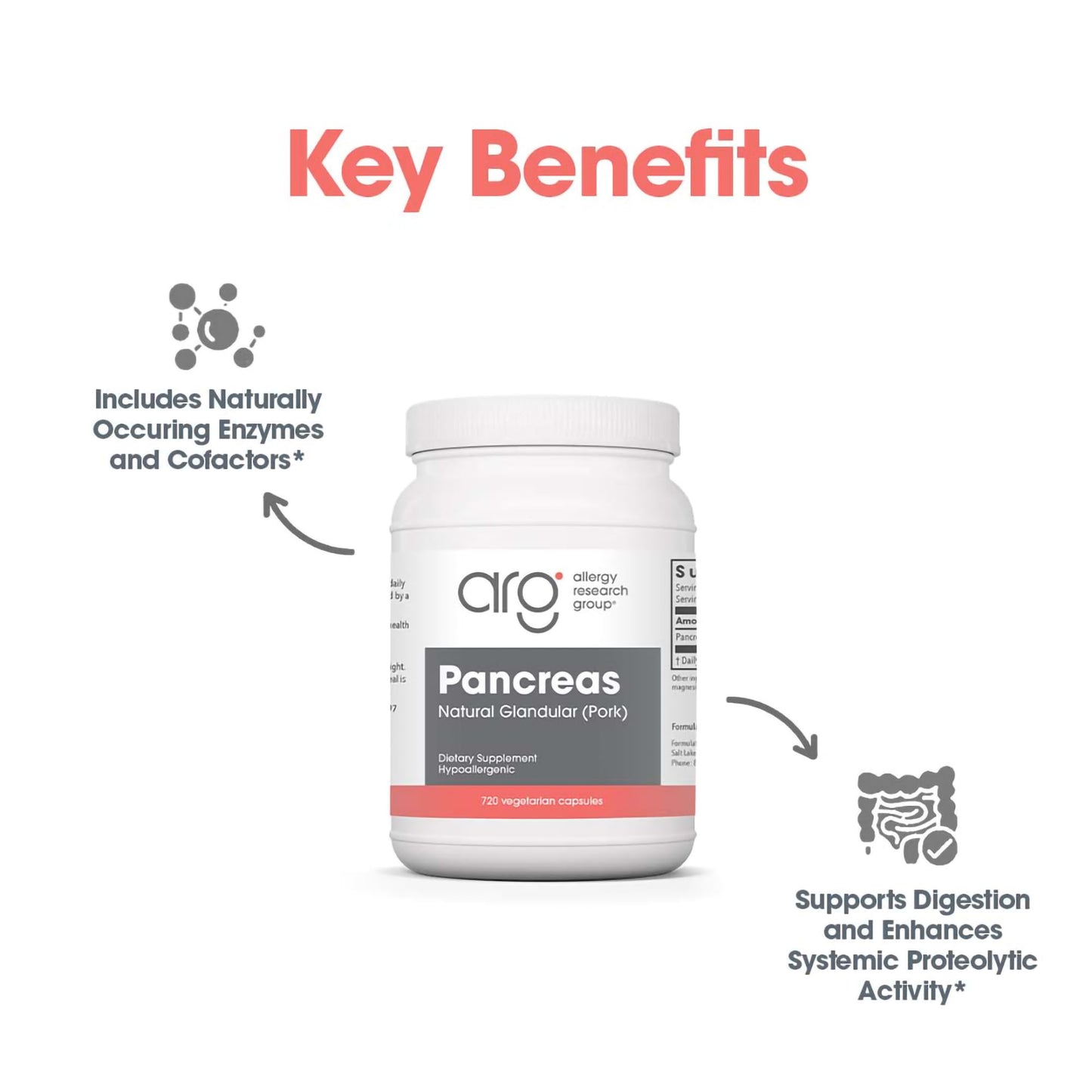 Allergy Research Group Pancreas Supplement - Pancreatic Enzymes for Women and Men, Digestive Pork Pancreas Powder Capsules, Healthy Digestion Support - 720 Capsules Nirvana Guru