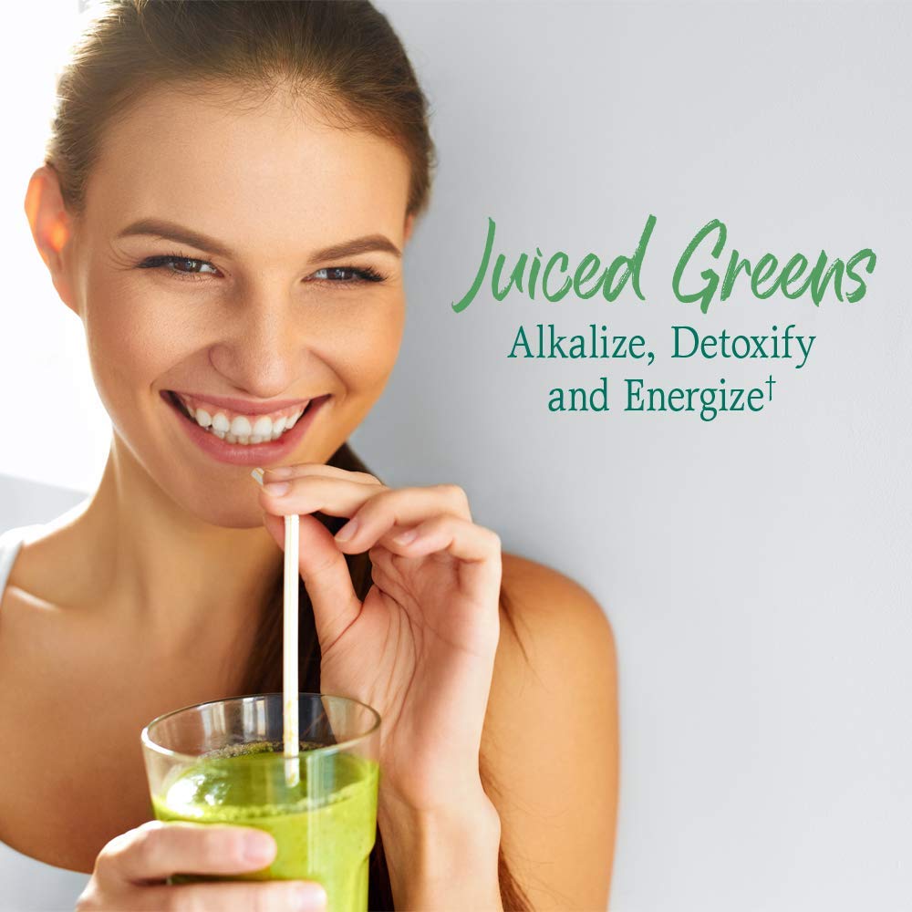 Garden of Life Raw Organic Perfect Food Green Superfood Juiced Greens Powder - Chocolate, 30 Servings (Packaging May Vary) - Nirvana Guru