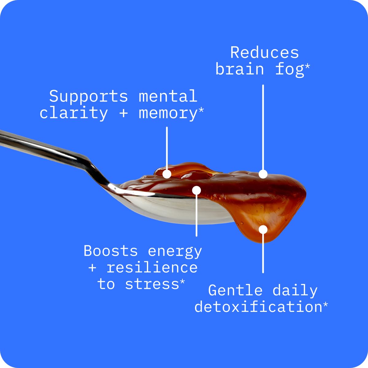 BodyBio PC - Phosphatidylcholine for Brain Health, Mental Clarity, Cognitive Function, Cellular Repair & Healthy Aging, Phospholipid Complex Supplement for Gentle Daily Detox Nirvana Guru