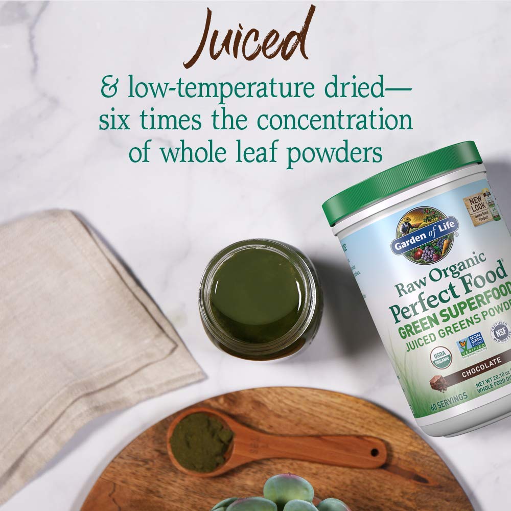 Garden of Life Raw Organic Perfect Food Green Superfood Juiced Greens Powder - Chocolate, 30 Servings (Packaging May Vary) - Nirvana Guru