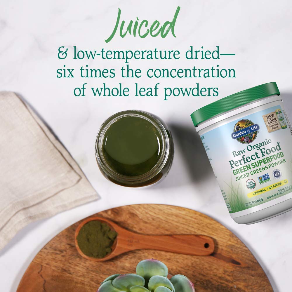 Garden of Life Raw Organic Perfect Food Green Superfood Juiced Greens Powder - Chocolate, 30 Servings (Packaging May Vary) - Nirvana Guru