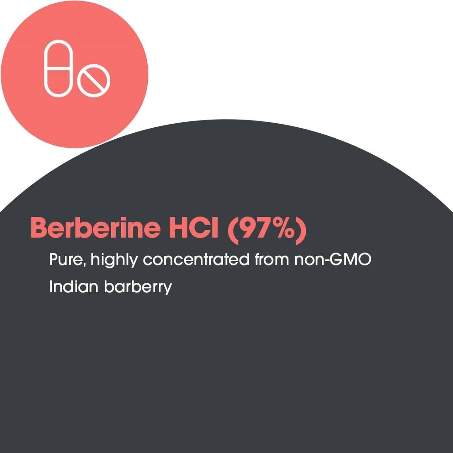 Allergy Research Group Berberine 500mg Supplement - Multi-Faceted Metabolic Support, Supports Healthy Cholesterol, Indian Barberry Root, Hypoallergenic, Vegetarian Capsules - 90 Count Nirvana Guru