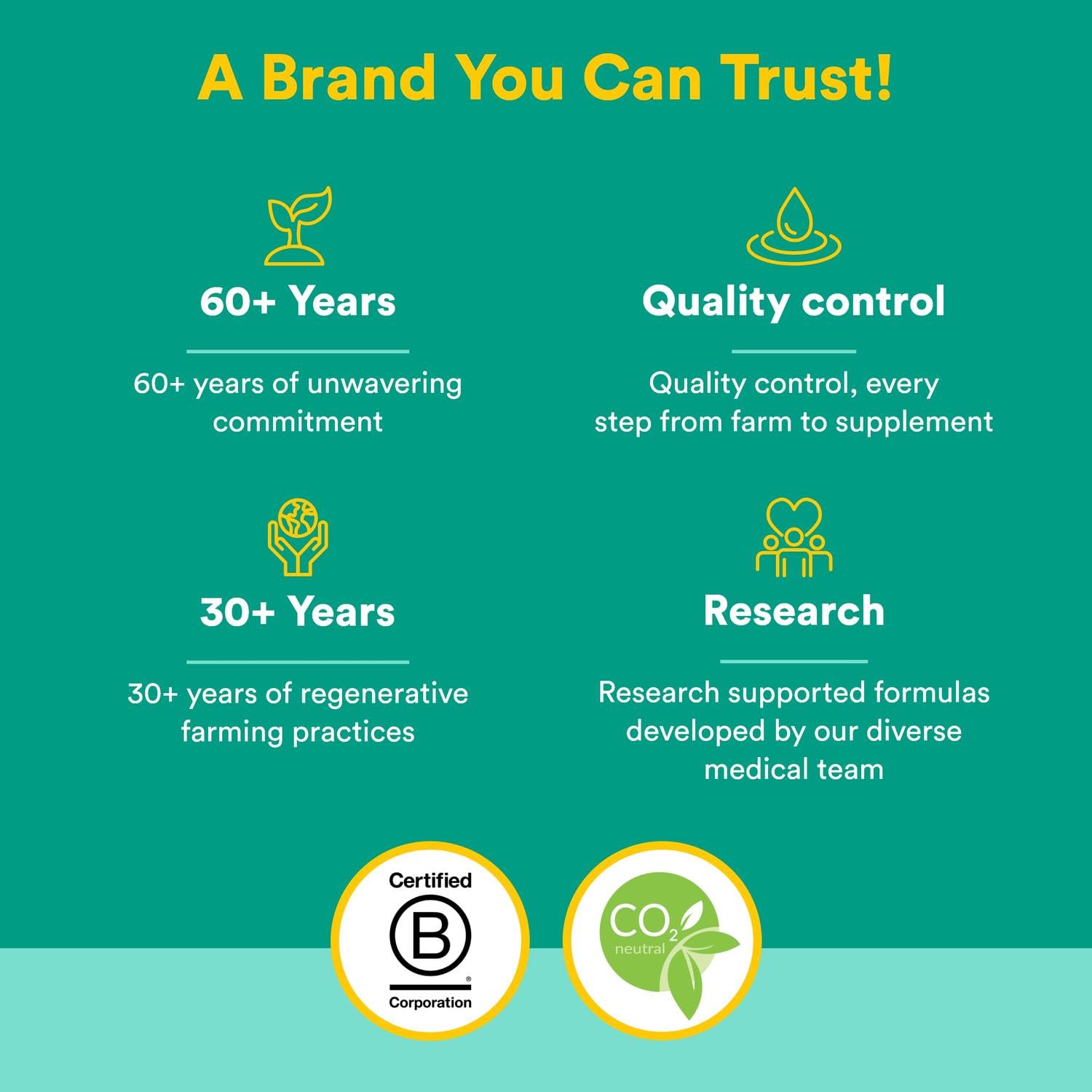 Natural Factors, Kids Chewable Vitamin C 500 mg, Supports Immune Health, Bones, Teeth and Gums, Tangy Orange, 180 Count (Pack of 1) - Nirvana Guru