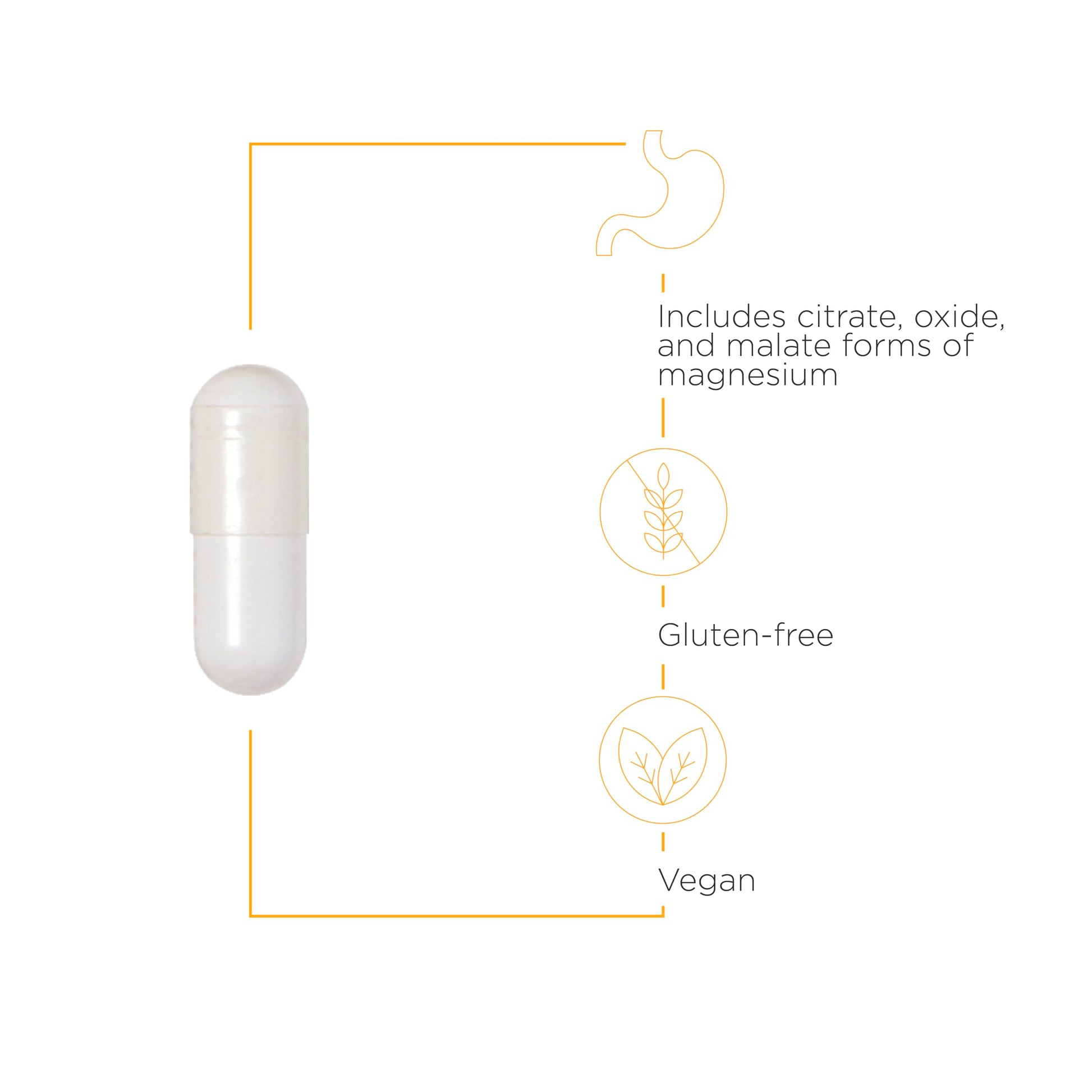 Integrative Therapeutics Tri-Magnesium - Supports Healthy Bones & Teeth* - Supports Cardiovascular & Neurological Function* - Promotes Calm* - 90 Capsules - Nirvana Guru