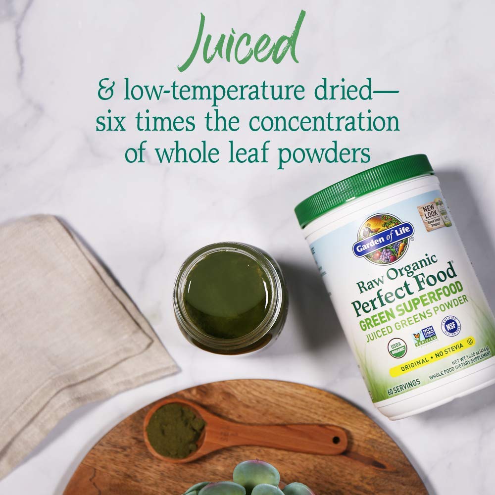 Garden of Life Raw Organic Perfect Food Green Superfood Juiced Greens Powder - Chocolate, 30 Servings (Packaging May Vary) - Nirvana Guru