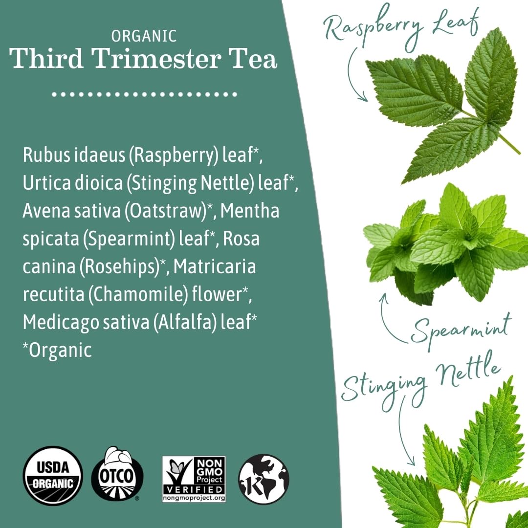 Earth Mama Organic Third Trimester Tea Bags | 100% USDA Organic Herbal Tea for Late Pregnancy Comfort + Childbirth Preparation, 16 Teabags Per Box (2-Pack) Nirvana Guru