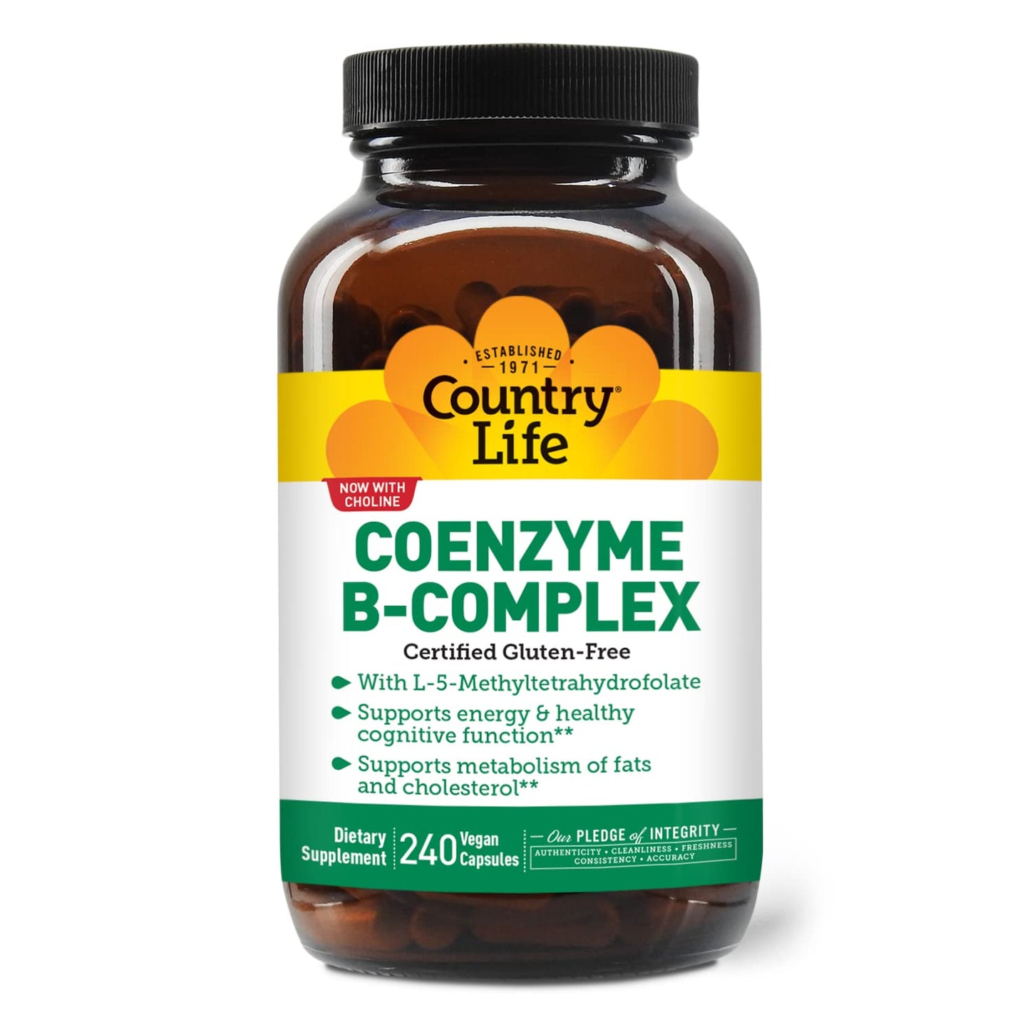 Country Life Coenzyme B-Complex, 120 Capsules – Supports Energy & Metabolism, Mood & Cognitive Function – Vegan, Gluten-Free, Bioavailable B Vitamins with Choline Nirvana Guru