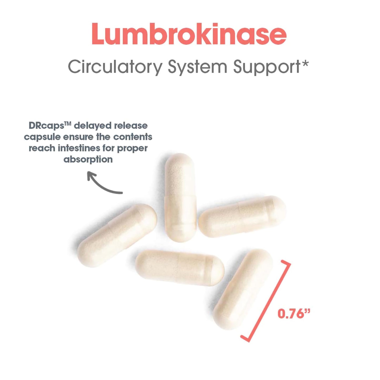 Allergy Research Group Lumbrokinase Supplement - Enzyme for Circulatory System Support, Supports Blood Circulation Already in The Normal Range, Cardiovascular Health - 60 Vegetarian Capsules Nirvana Guru