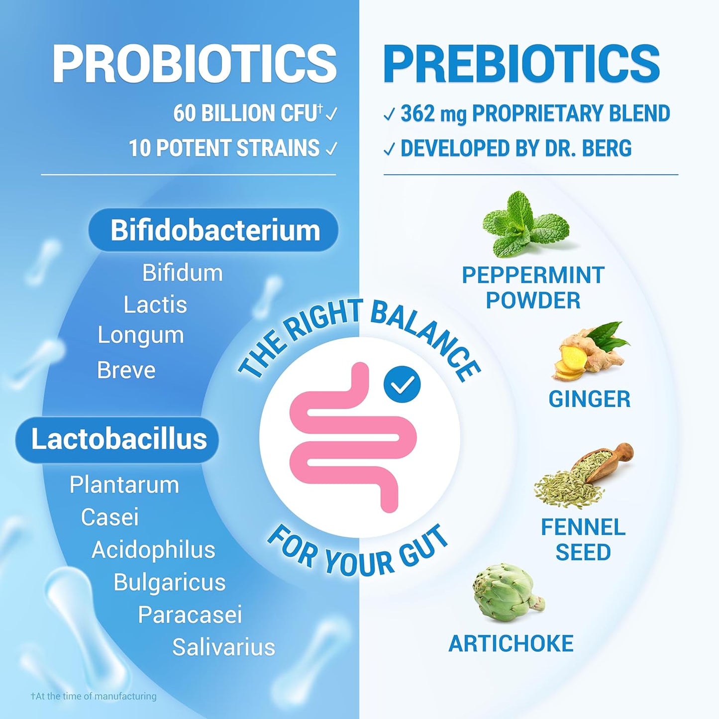 Dr. Berg Probiotic Supplement (60 Billion CFUs) - Helps Ease Occasional Constipation, Diarrhea, Gas & Bloating* - Pre and Probiotics for Digestive Health - 30 Probiotic Capsules - Nirvana Guru