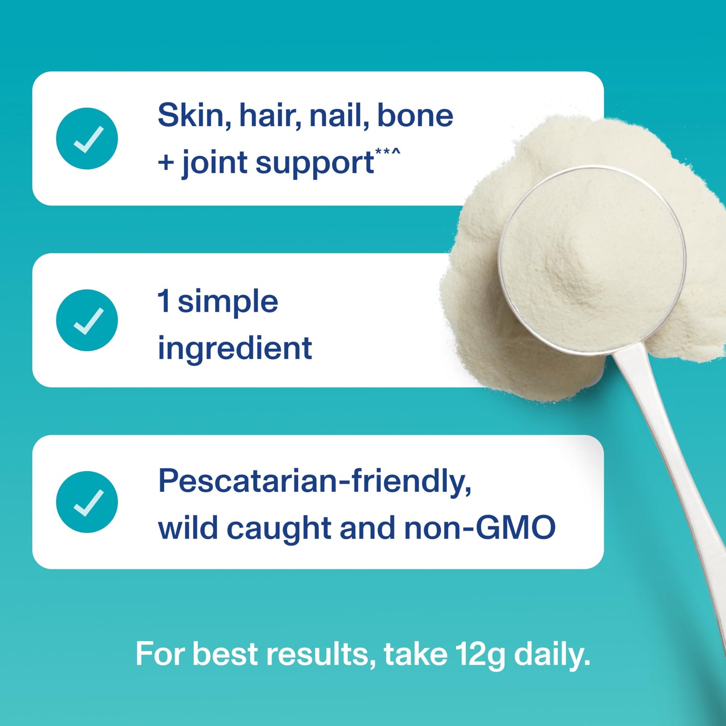 Vital Proteins Marine Collagen Peptides Powder Supplement for Skin Hair Nail Joint - Hydrolyzed Collagen - 12g per Serving - 14.5oz Canister - Nirvana Guru