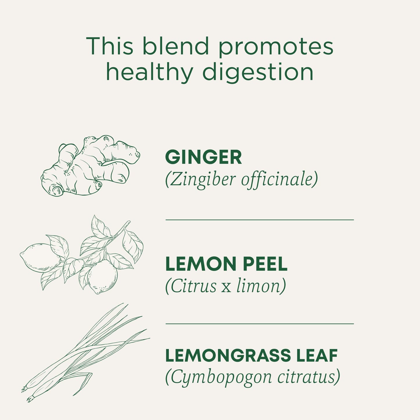 Traditional Medicinals Tea, Organic Ginger, Healthy Digestion, Pleasantly Spicy & Warming, 16 Tea Bags - Nirvana Guru