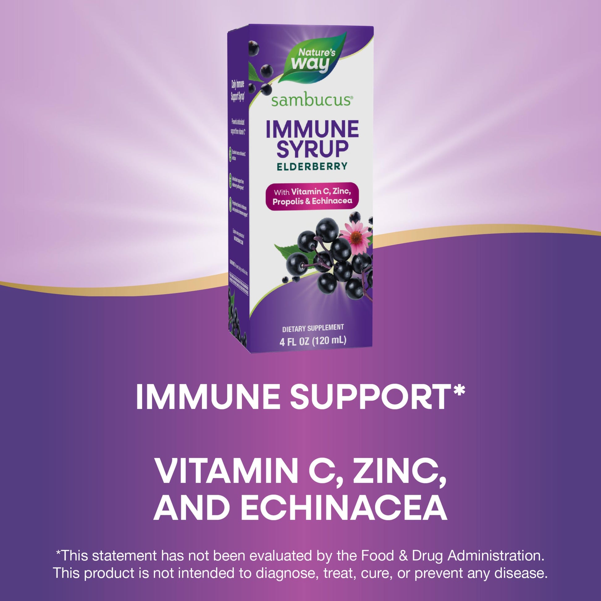 Nature's Way Sambucus Immune Syrup, Elderberry Extract, Vitamin C, Zinc, Echinacea, Propolis, Daily Immune Support*, Antioxidant Support*, Gluten free, Vegetarian, 8 Fl Oz - Nirvana Guru
