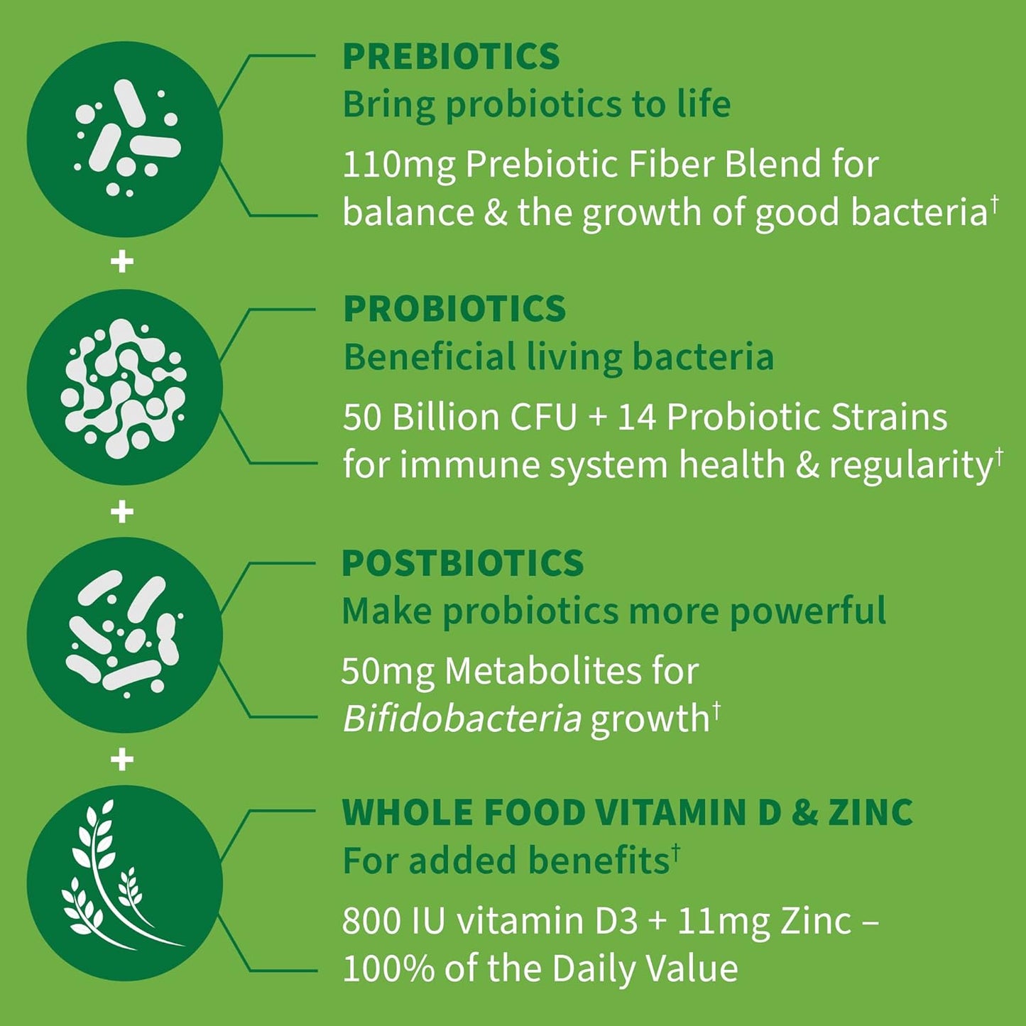 Garden of Life Probiotics with Prebiotics, Postbiotics, D3 & Zinc - 30 Day Immune Support for Gut & Digestive Health - Nirvana Guru