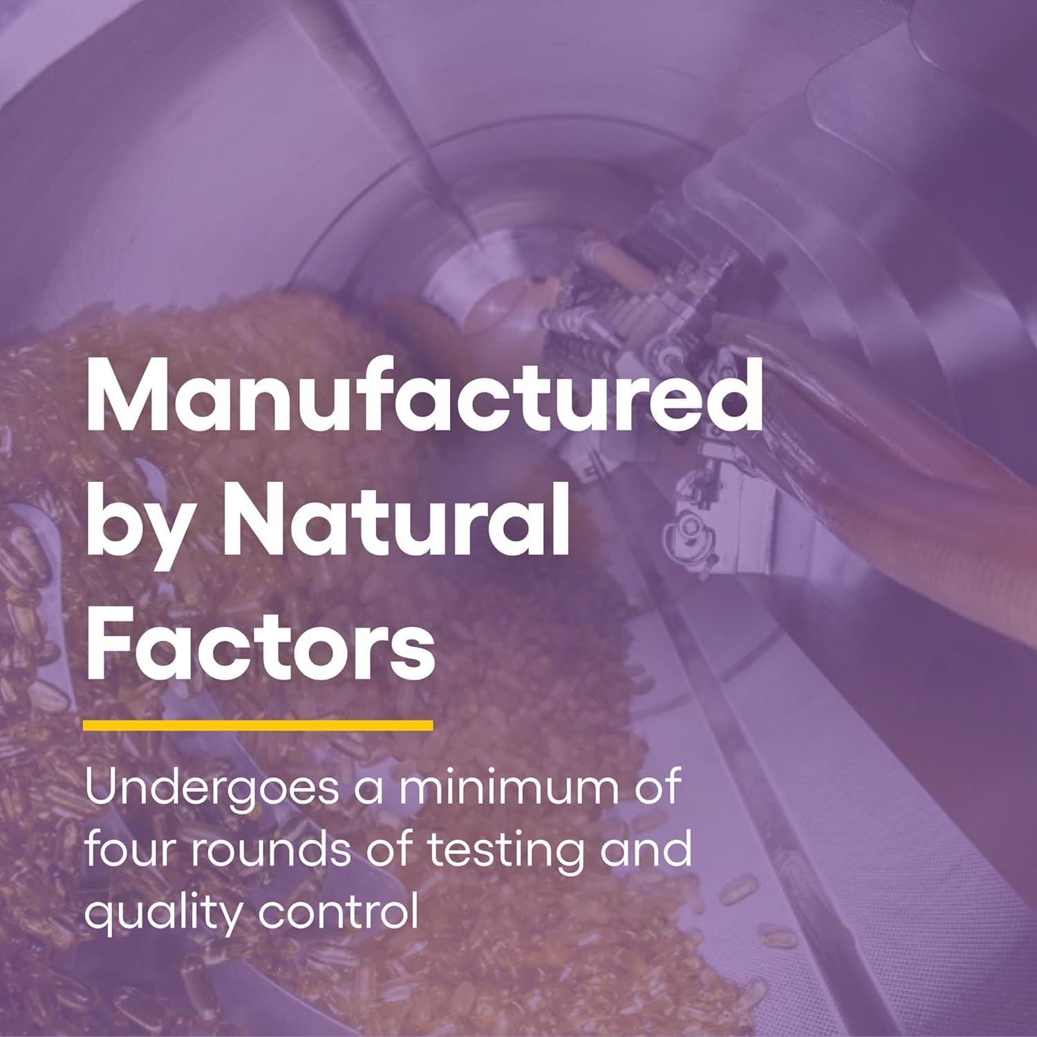 Natural Factors Coenzyme Q10 100 mg, Natural Coenzyme Q10 Supplement for Energy, Heart and Cognitive Support, 120 Softgels - Nirvana Guru