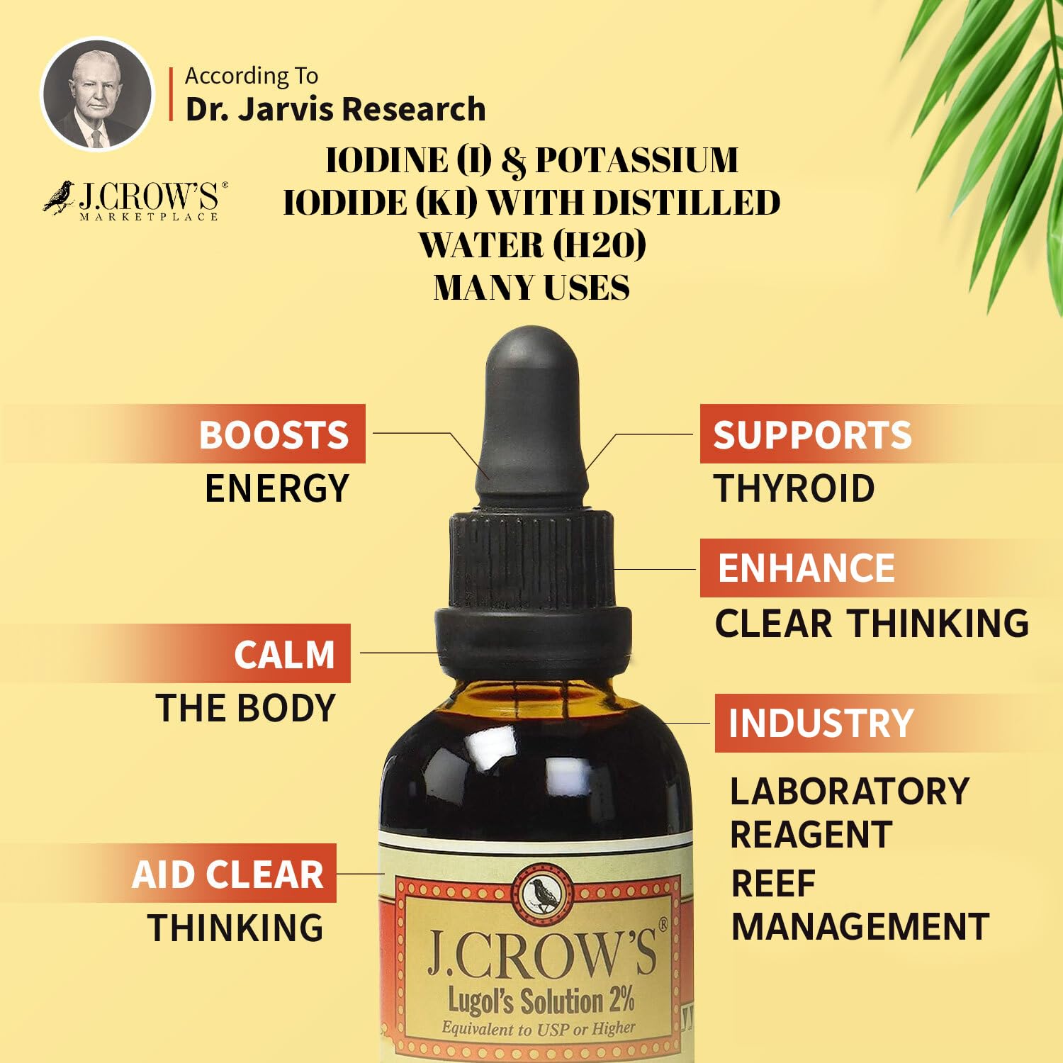 J.CROW'S® Lugol's Solution of Iodine 2% 2 oz (1 Bottle) – Premium Potassium Iodide Liquid, Supports Thyroid & Energy, Gluten &, Alcohol-Free Natural Brine Extract, No Expiration Nirvana Guru