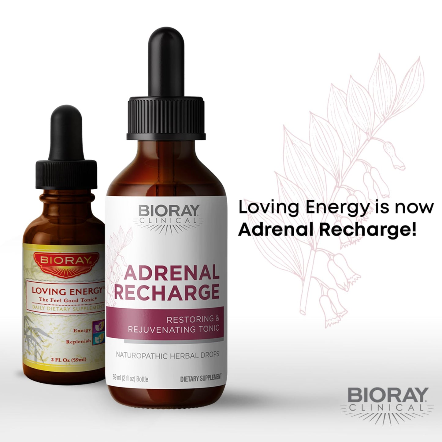 BIORAY Clinical Adrenal Recharge - 2 fl oz - Restoring & Rejuvenating Alcohol Tincture - Non-GMO, Vegan, Gluten Free Nirvana Guru