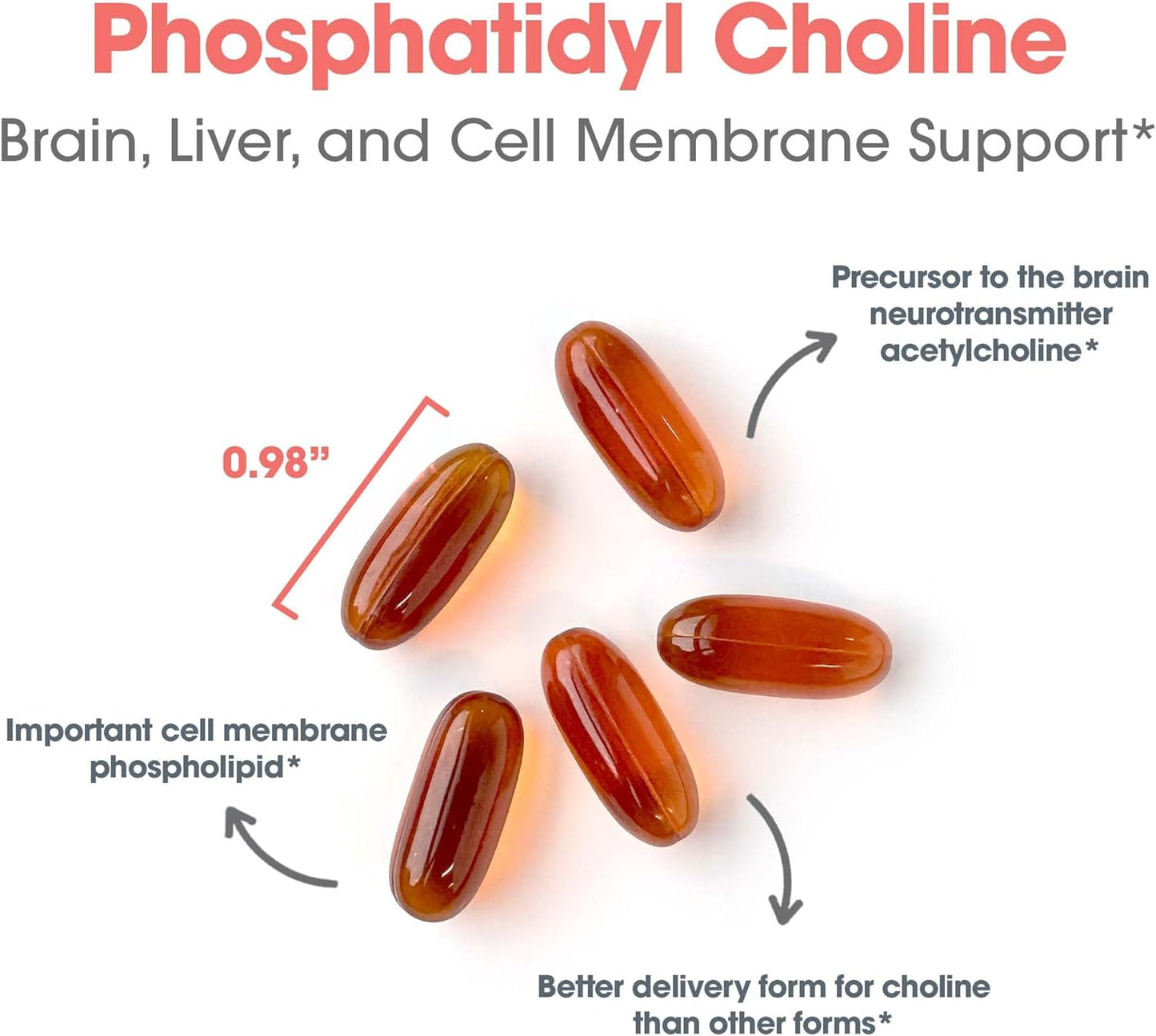 Allergy Research Group Phosphatidyl Choline Supplement - Lecithin Capsules, Digestive Enzymes for Liver, Fat Digestion Support, Choline Supplements for Fatty Liver, 1540mg Softgels - 100 Count Nirvana Guru