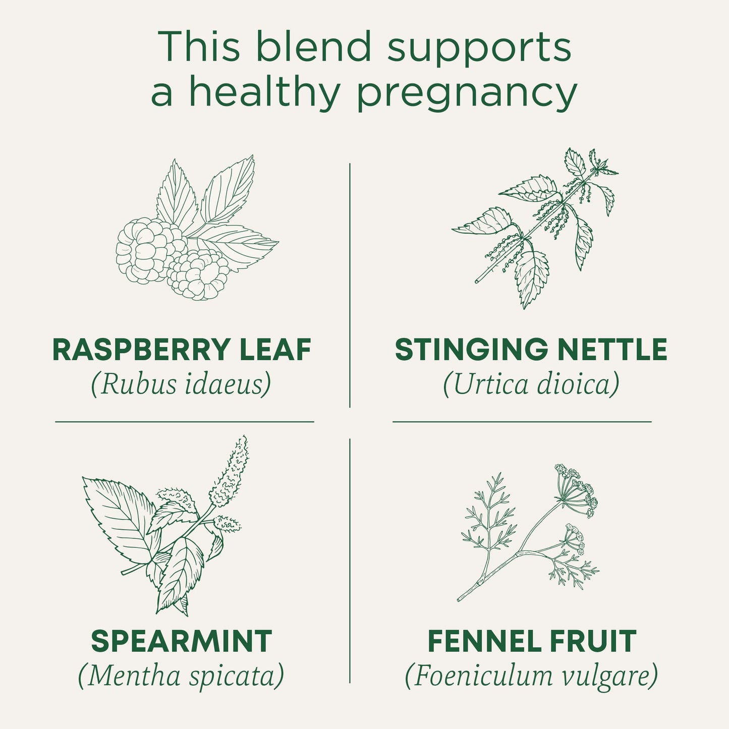 Traditional Medicinals Tea, Organic Healthy Cycle, Supports Healthy Menstrual Cycles, Includes Spearmint,16 Tea Bags - Nirvana Guru