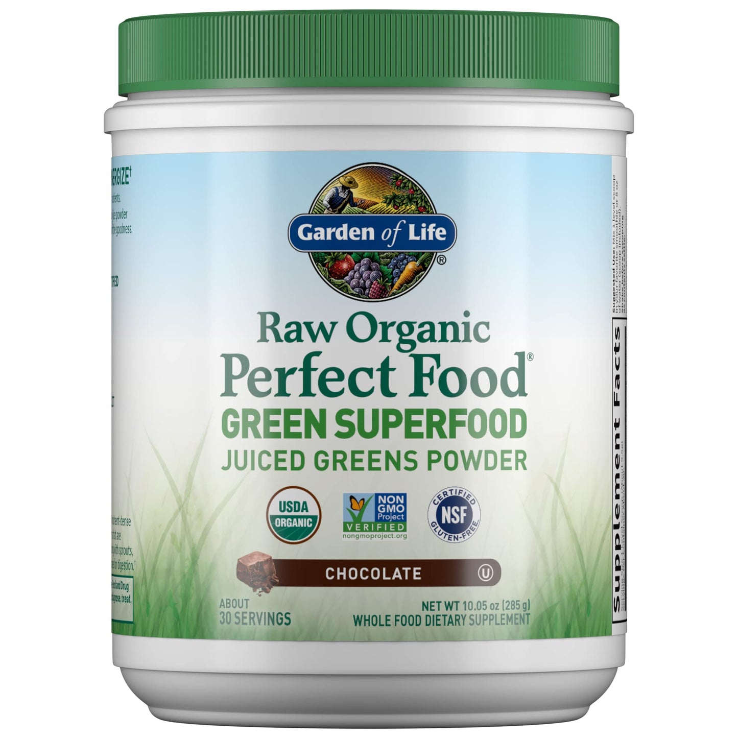 Garden of Life Raw Organic Perfect Food Green Superfood Juiced Greens Powder - Chocolate, 30 Servings (Packaging May Vary) - Nirvana Guru
