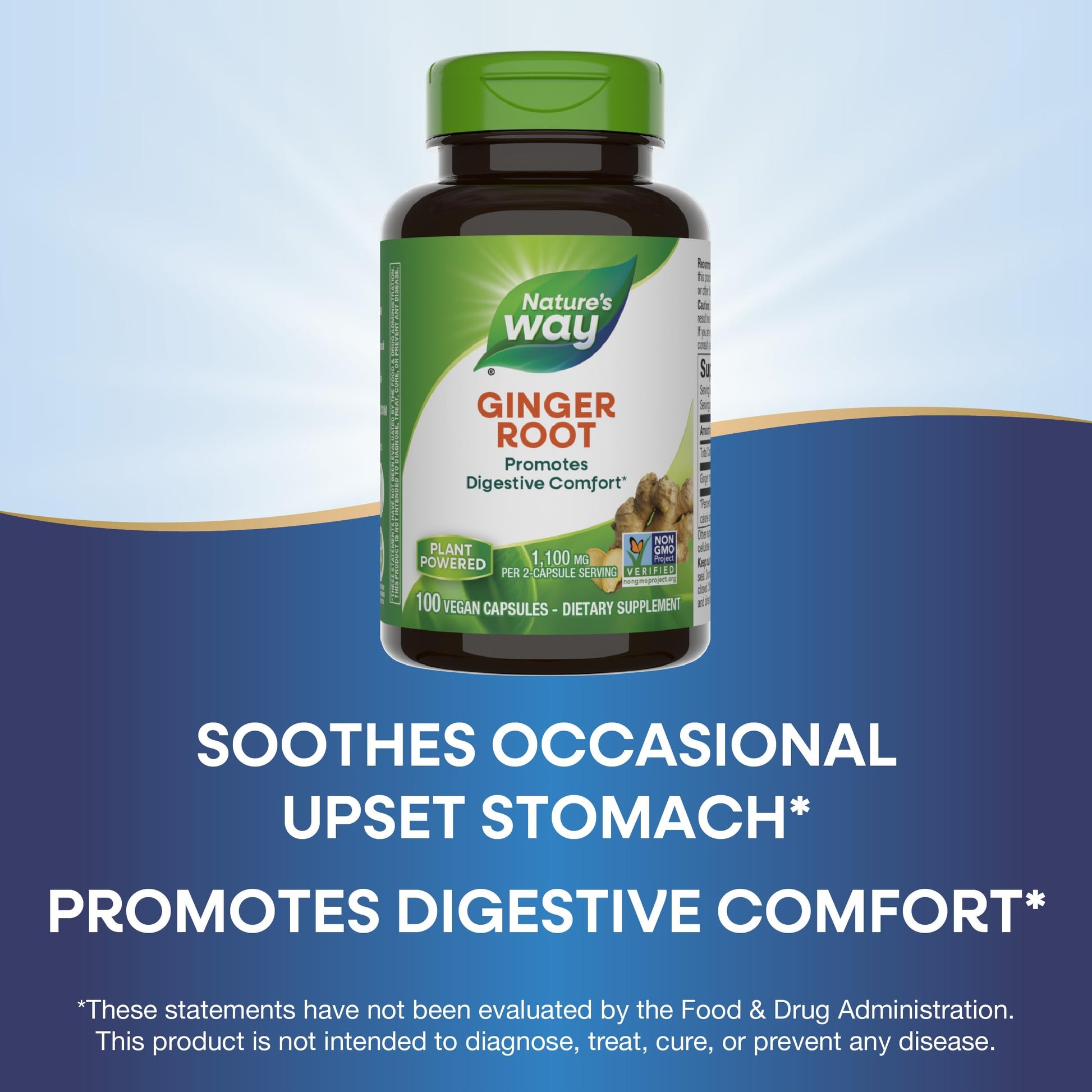 Nature's Way Ginger Root, Promotes Digestive Comfort*, Reduces Motion-Related Nausea*, 1,100 mg Per 2-capsule Serving, Non-GMO Project Verified, Vegan, 240 Capsules (Packaging May Vary) Nirvana Guru