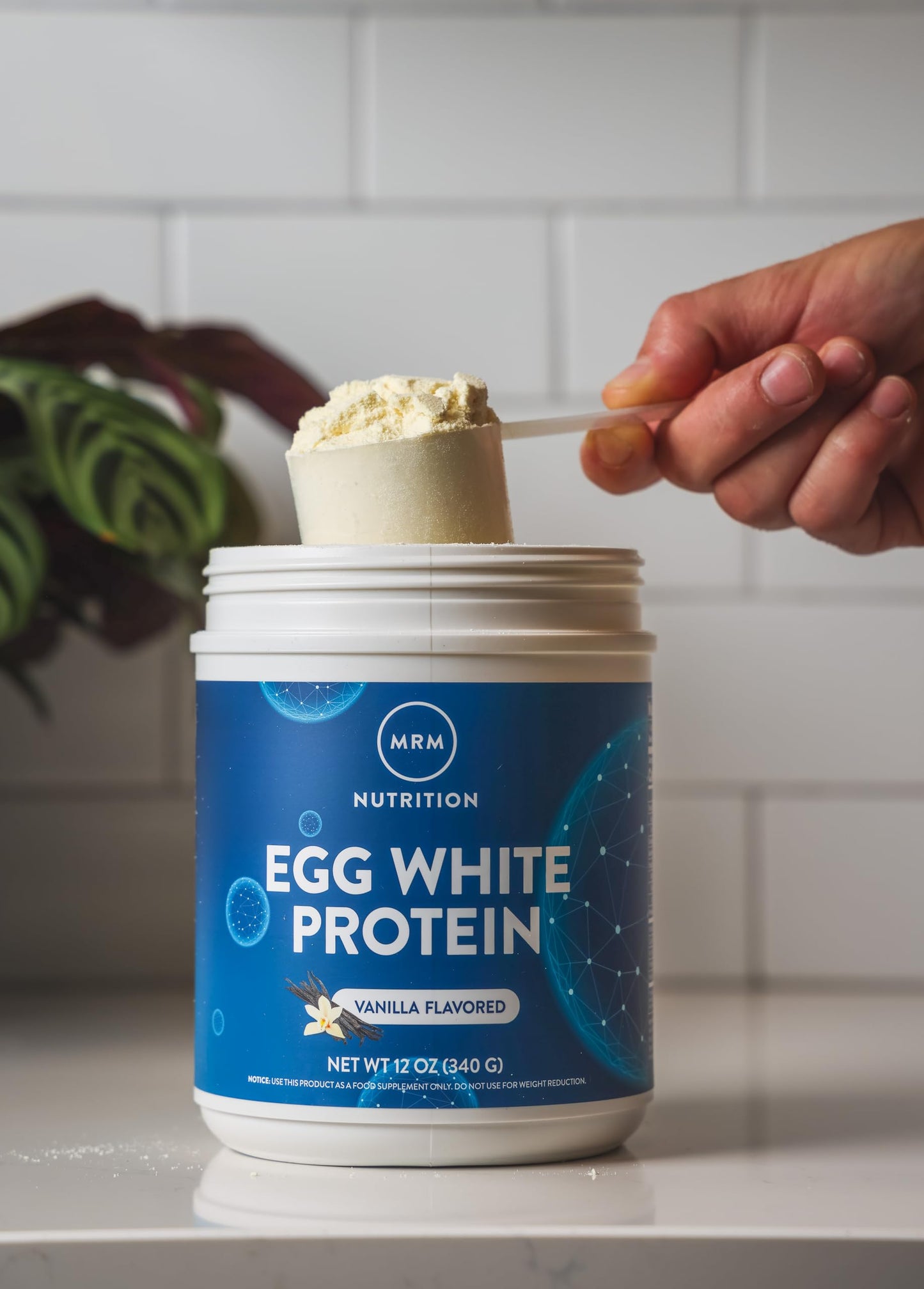 MRM Nutrition Egg White Protein | Vanilla Flavored | 23g Fat-Free Protein | with Digestive enzymes | Highest Biological Value | Clinically Tested | 20 Servings - Nirvana Guru