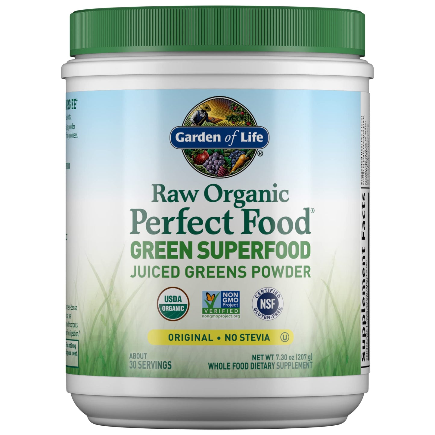 Garden of Life Raw Organic Perfect Food Green Superfood Juiced Greens Powder - Chocolate, 30 Servings (Packaging May Vary) - Nirvana Guru