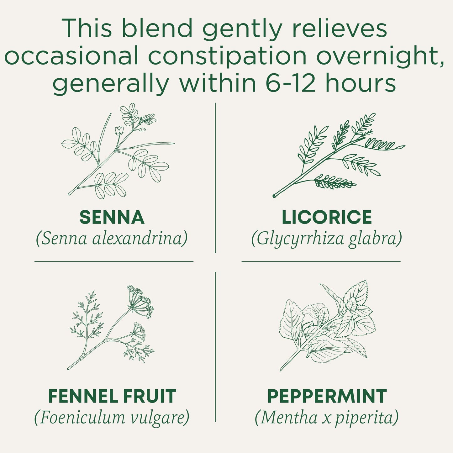 Traditional Medicinals Tea, Organic Smooth Move Peppermint, Relieves Occasional Constipation, Senna, 16 Tea Bags - Nirvana Guru