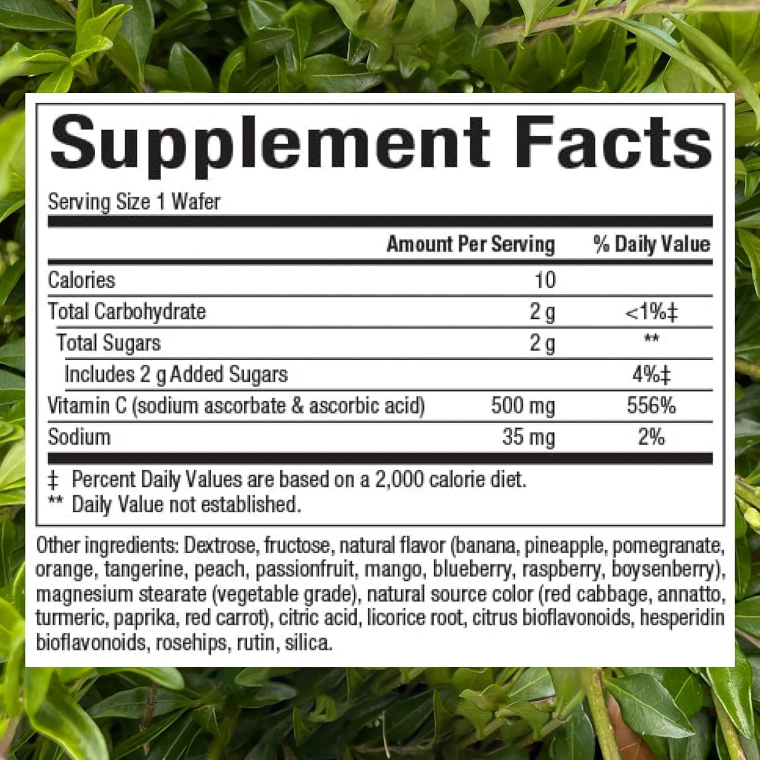 Natural Factors, Kids Chewable Vitamin C 500 mg, Supports Immune Health, Bones, Teeth and Gums, Tangy Orange, 180 Count (Pack of 1) - Nirvana Guru