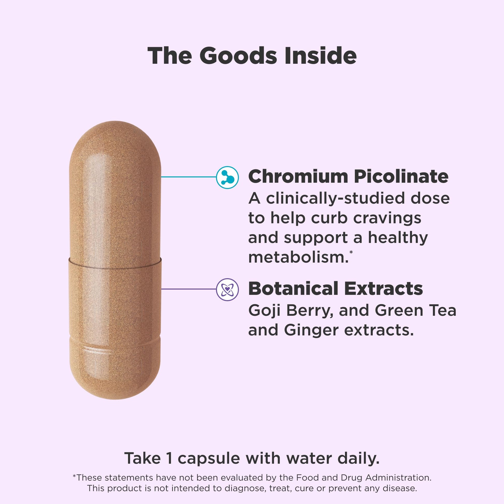 OLLY Combat Cravings, Metabolism & Energy Support Supplement,1000 mcg Chromium, Green Tea, Goji Berry, Ginger - 30 Count Nirvana Guru