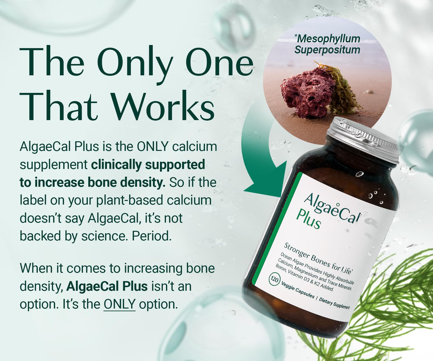 ALGAECAL Organic Red Algae Calcium Supplement for Bone Density, Vitamin K2 MK7 (100mg), Vitamin D3 (1600 IU), Magnesium (350mg) & Trace Minerals & Strength, Easy to Swallow, 120 Veggie Caps Nirvana Guru