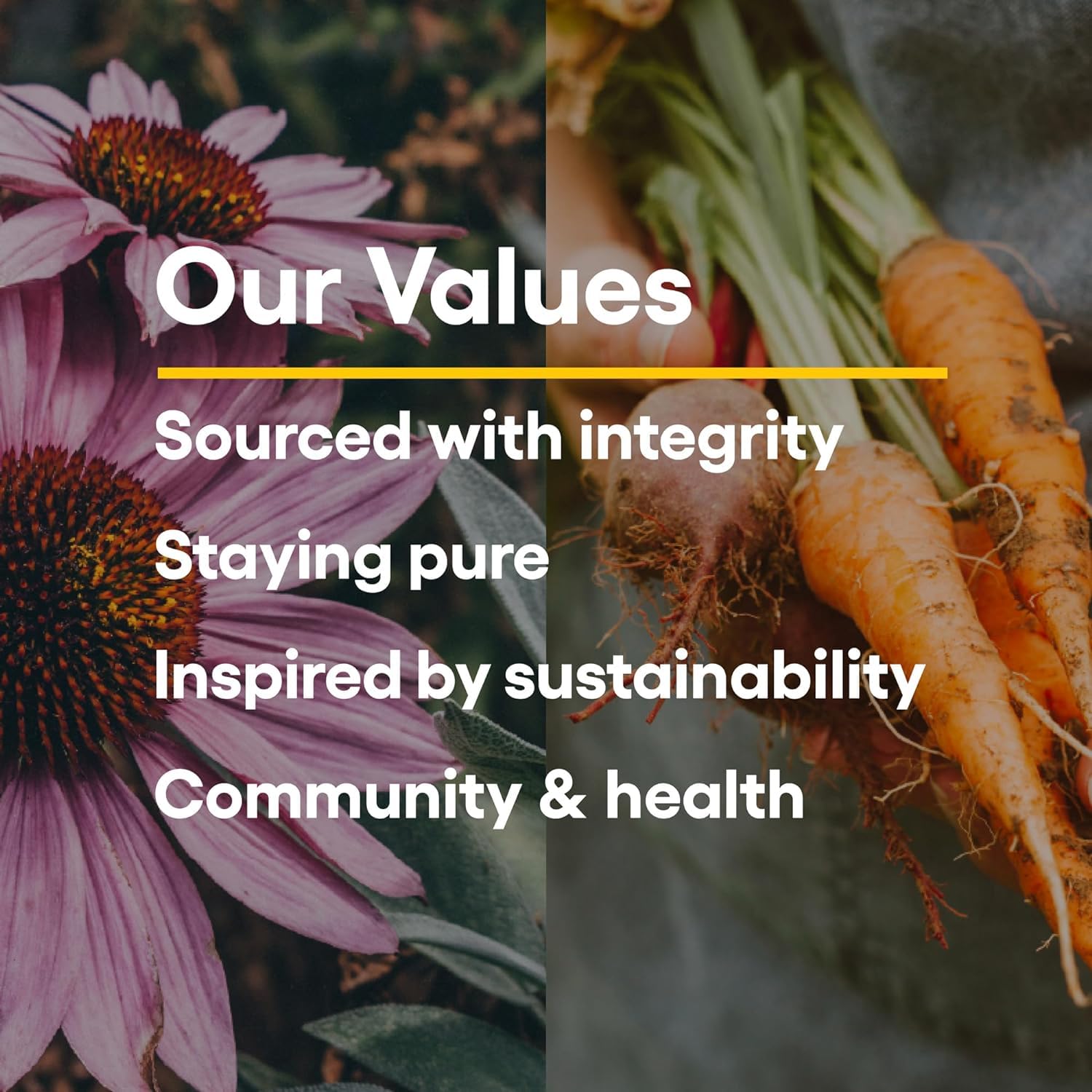 Natural Factors, Kids Chewable Vitamin C 500 mg, Supports Immune Health, Bones, Teeth and Gums, Tangy Orange, 180 Count (Pack of 1) - Nirvana Guru