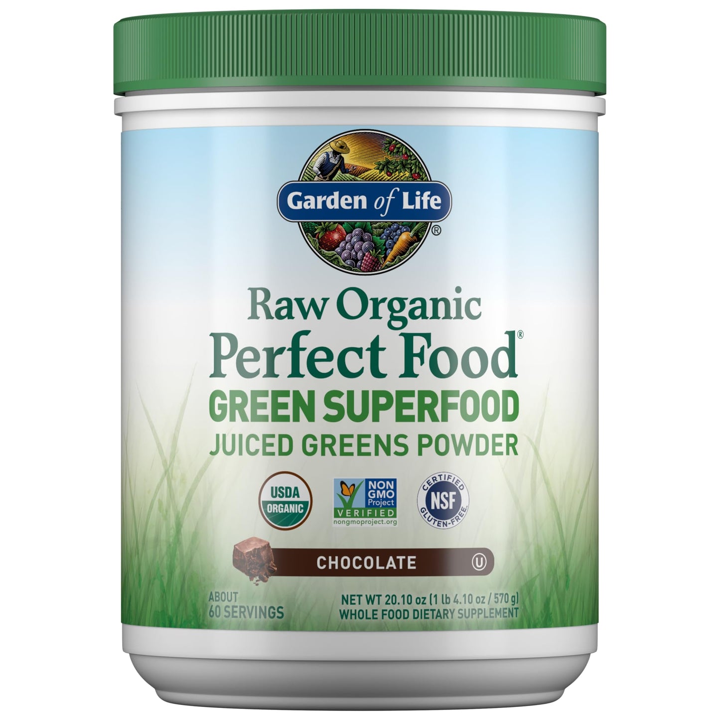 Garden of Life Raw Organic Perfect Food Green Superfood Juiced Greens Powder - Chocolate, 30 Servings (Packaging May Vary) - Nirvana Guru