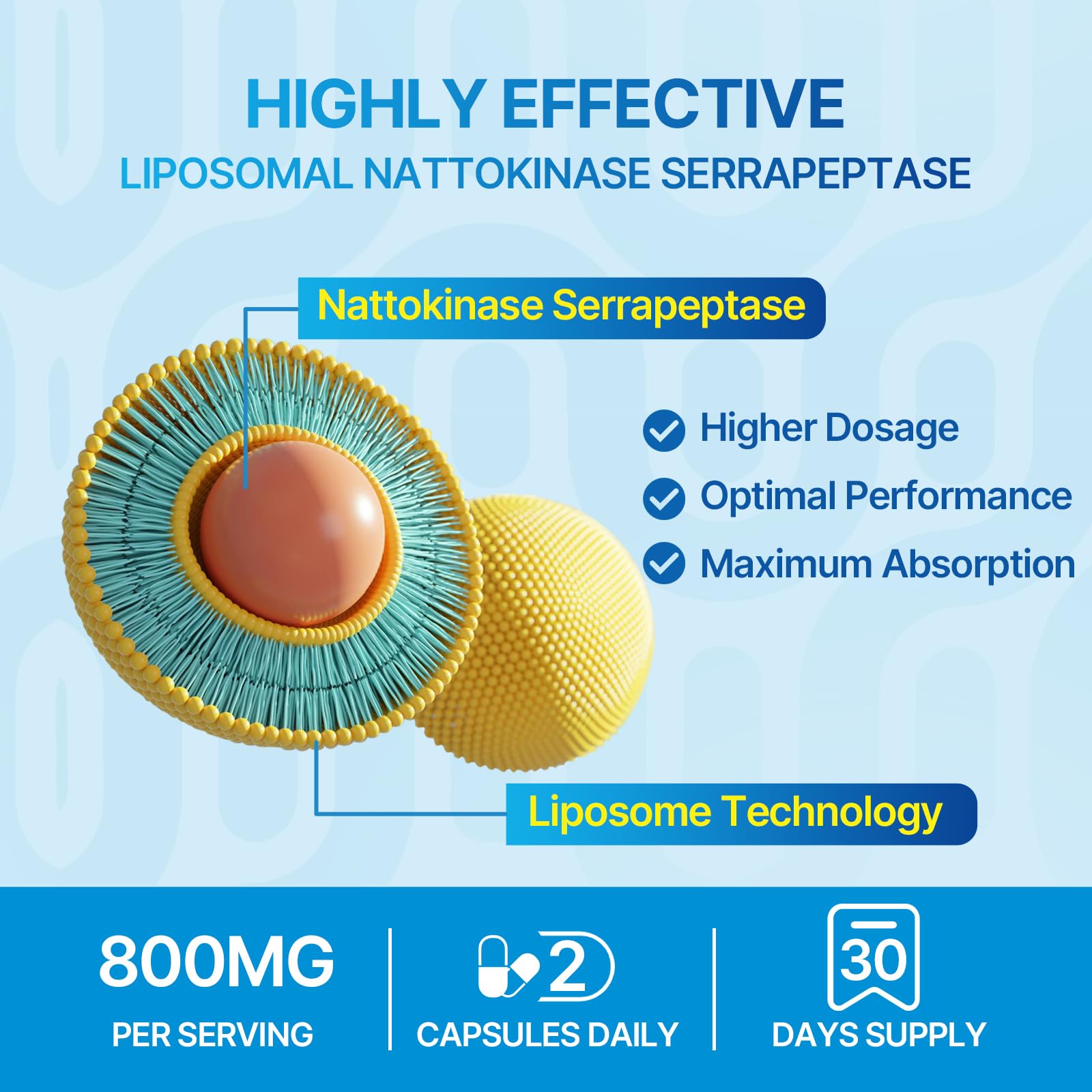 Liposomal Nattokinase 12,000 FU Serrapeptase 360,000 SPU Enzyme Supplement - Enriched with Synergistic Enzymes and Nutrient Blend & Inulin for Circulatory, Gut, Digestion 60 Capsules (1 Bottle) Nirvana Guru