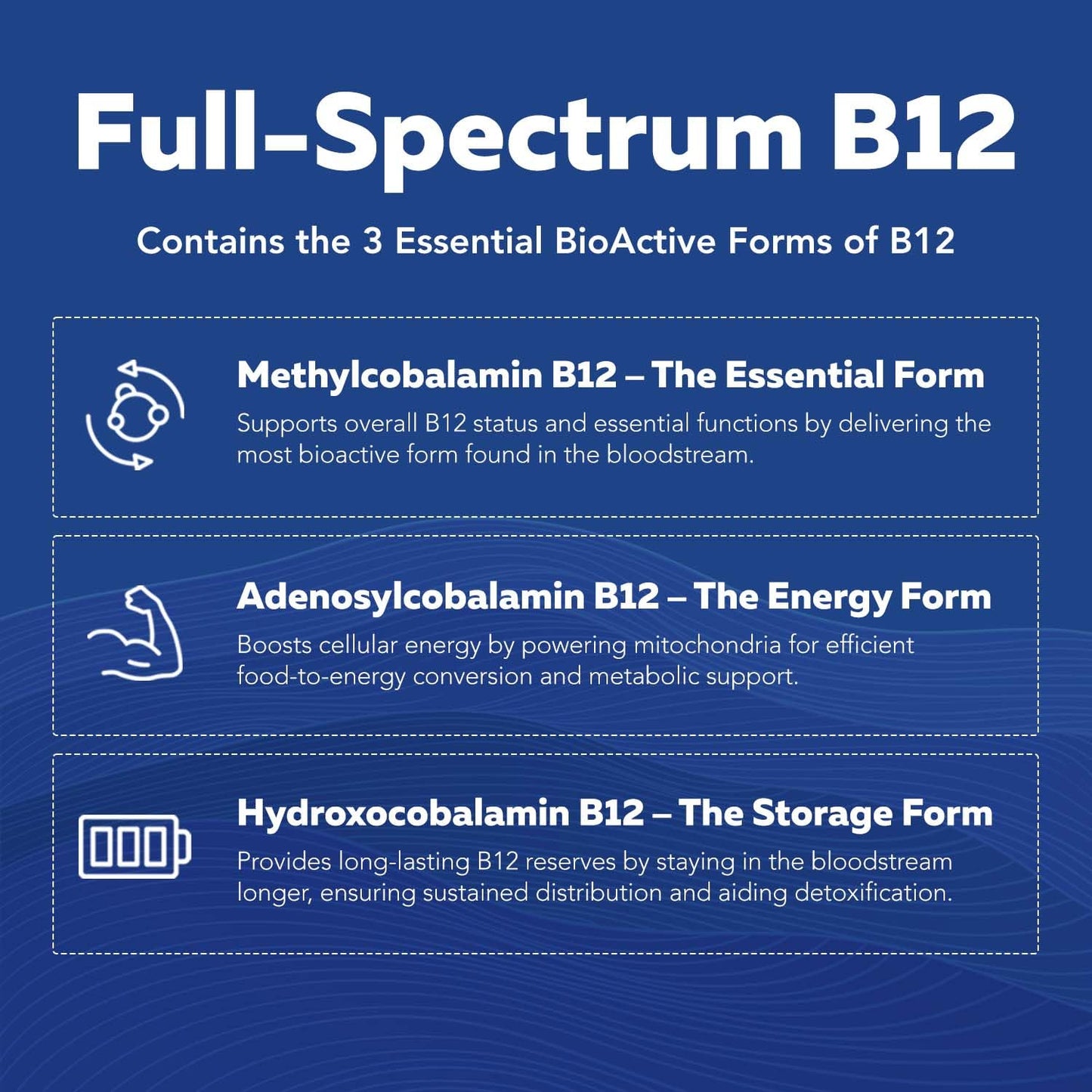 BioActive Vitamin B Complex - Blood Stream Ready, Methylated B Complex - Featuring Methylfolate, 3 BioActive Forms of B12, BenfoPure® B1 & Pantesin® B5 - 12 B Vitamins in Clinical Doses - 60 Servings Nirvana Guru