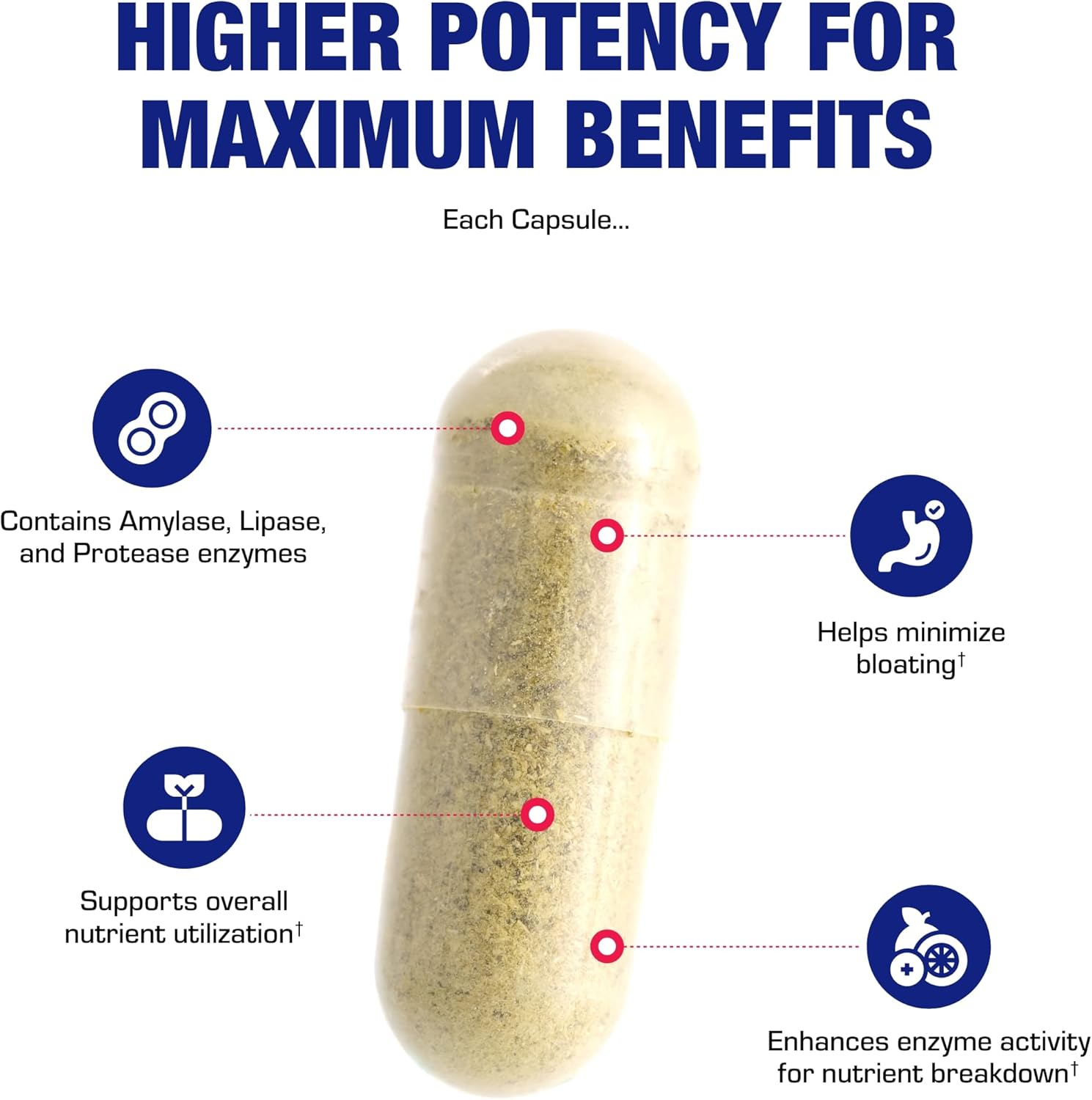 Multi Digestive Enzymes with Ox Bile Supplement - Clinical Strength Digestion Supplement with Pancreatin Pancreatic Enzymes for Protein Carb & Fat Digestive Support & Reduced Stomach Discomfort Nirvana Guru