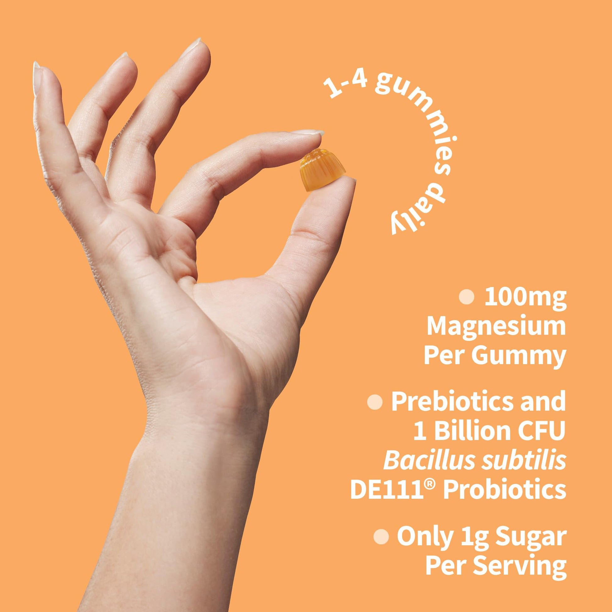 Garden of Life - Dr Formulated Magnesium Citrate Supplement with Prebiotics & Probiotics for Stress, Sleep & Recovery - Vegan, Gluten Free, Kosher, Non-GMO, No Added Sugars – 60 Raspberry Gummies - Nirvana Guru