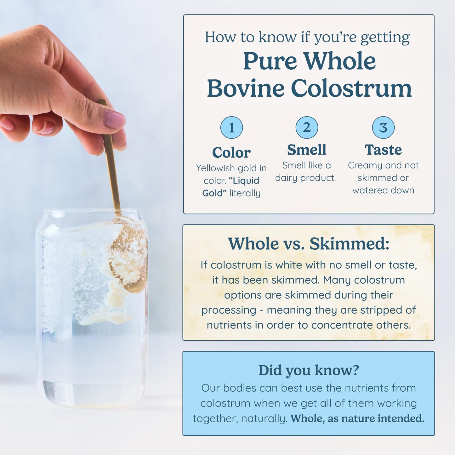 Colostrum Supplement Powder for Gut Health, Immune Support, Muscle Recovery & Wellness | Natural IgG Pure Whole Bovine Colostrum Superfood, Unflavored, 60 Servings Nirvana Guru